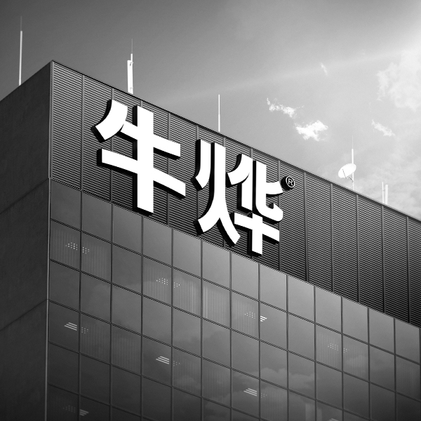 牛烨：打造手机配件创新型品牌   （深圳）